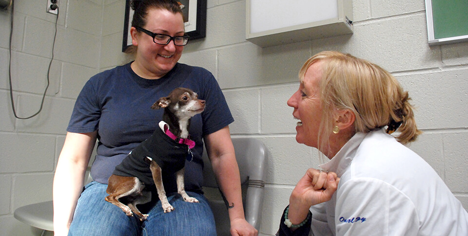 Dr. Karin Sorenmo with Brownie, a shelter dogs enrolled in the Penn Vet Shelter Canine Mammary Tumor Program. Brownie was the program’s 100th dog in 2013.