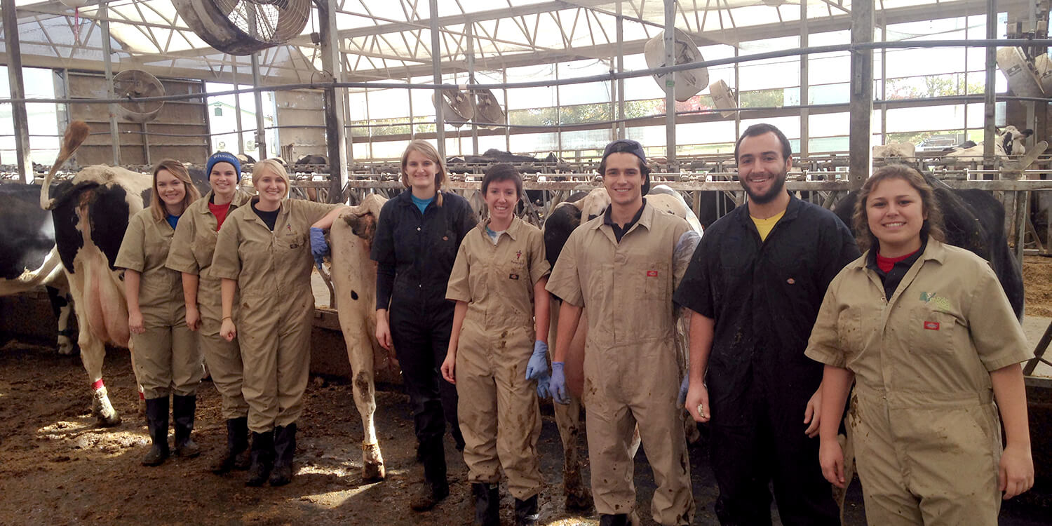 Students at New Bolton Center&#39;s Marshak Dairy