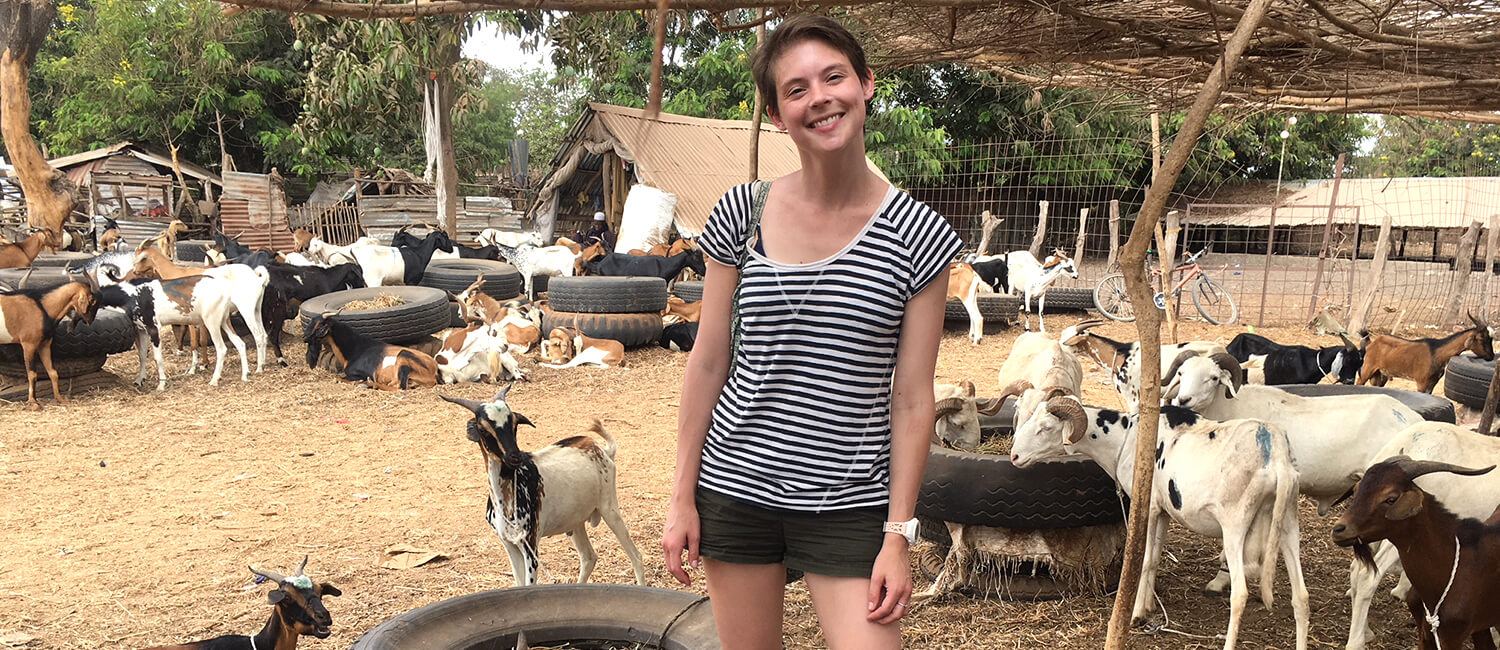 Briana Wilson V&#39;19, helps to establish a commercial goat dairy operation in Gambia.