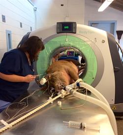 Bette receives a CT scan.
