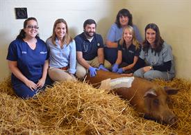 Bette poses with the New Bolton Center team that treated her.