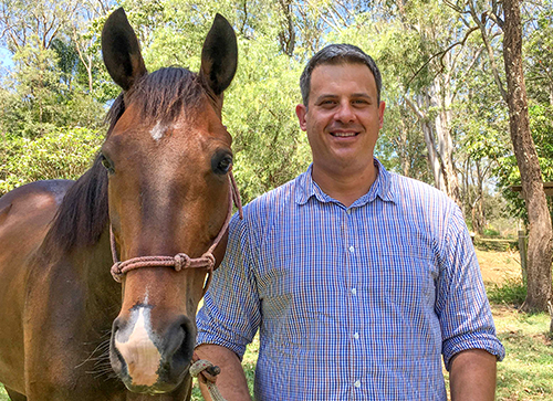 Dr. Andrew van Eps is studying the causes of laminitis in horses and using that knowledge to develop practical treatments.