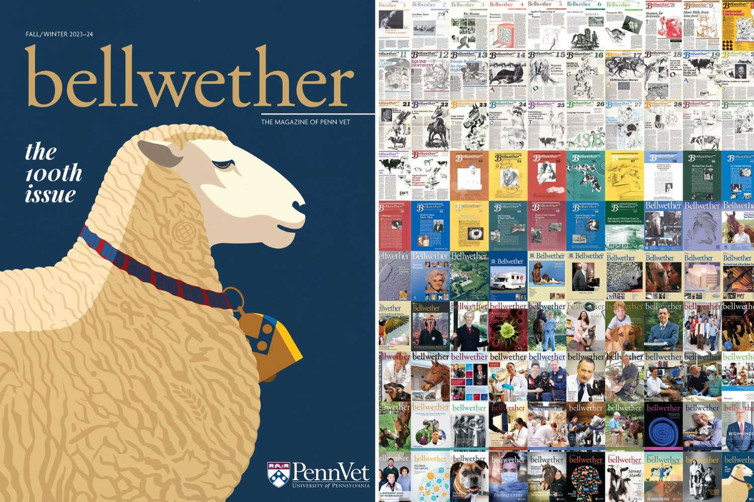 Bellwether covers of all the issues