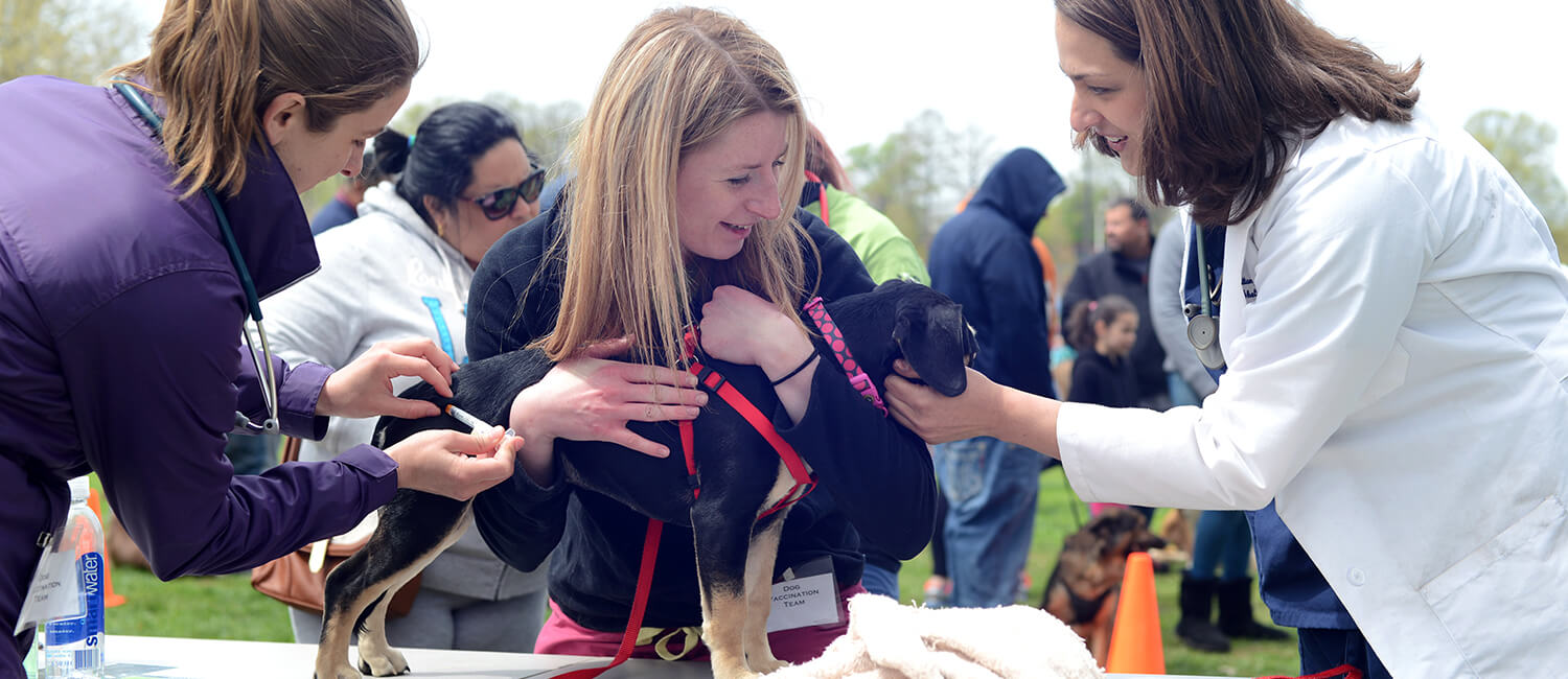 Dr. Brittany Watson (at right) supervises a vaccination given by Penn Vet students in the Hunting Park neighborhood of Philadelphia.