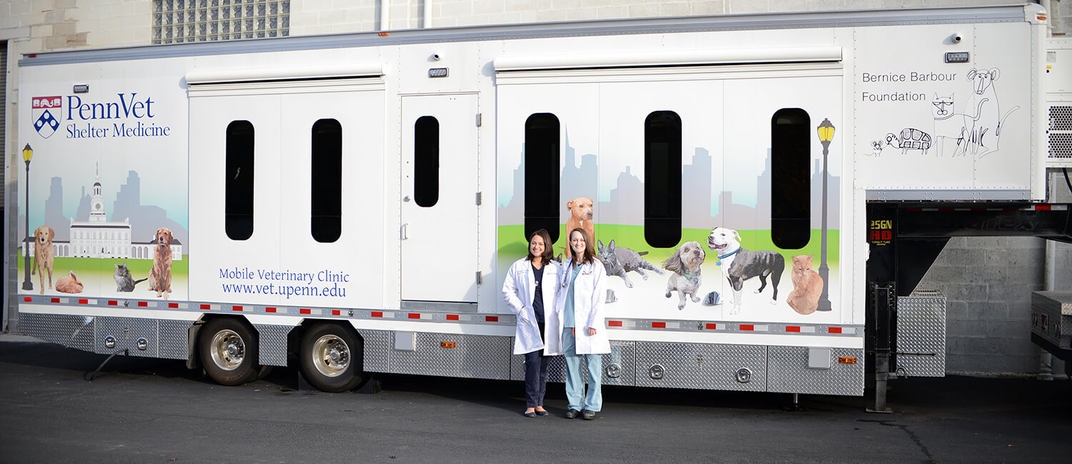 A new mobile unit for Penn Vet's Shelter Medicine program is getting rolling this spring, bringing state-of-the-art veterinary care into animal shelters and underserved communities. Veterinarians Brittany Watson and Chelsea Reinhard led the program’s efforts.
