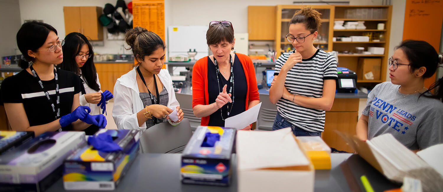 Weaving in lessons on immunology as she relays instructions for completing laboratory tasks, Jennifer Punt’s (center) love of teaching shines through as she works with high school students and undergraduates in a basement lab in the Levin Building.