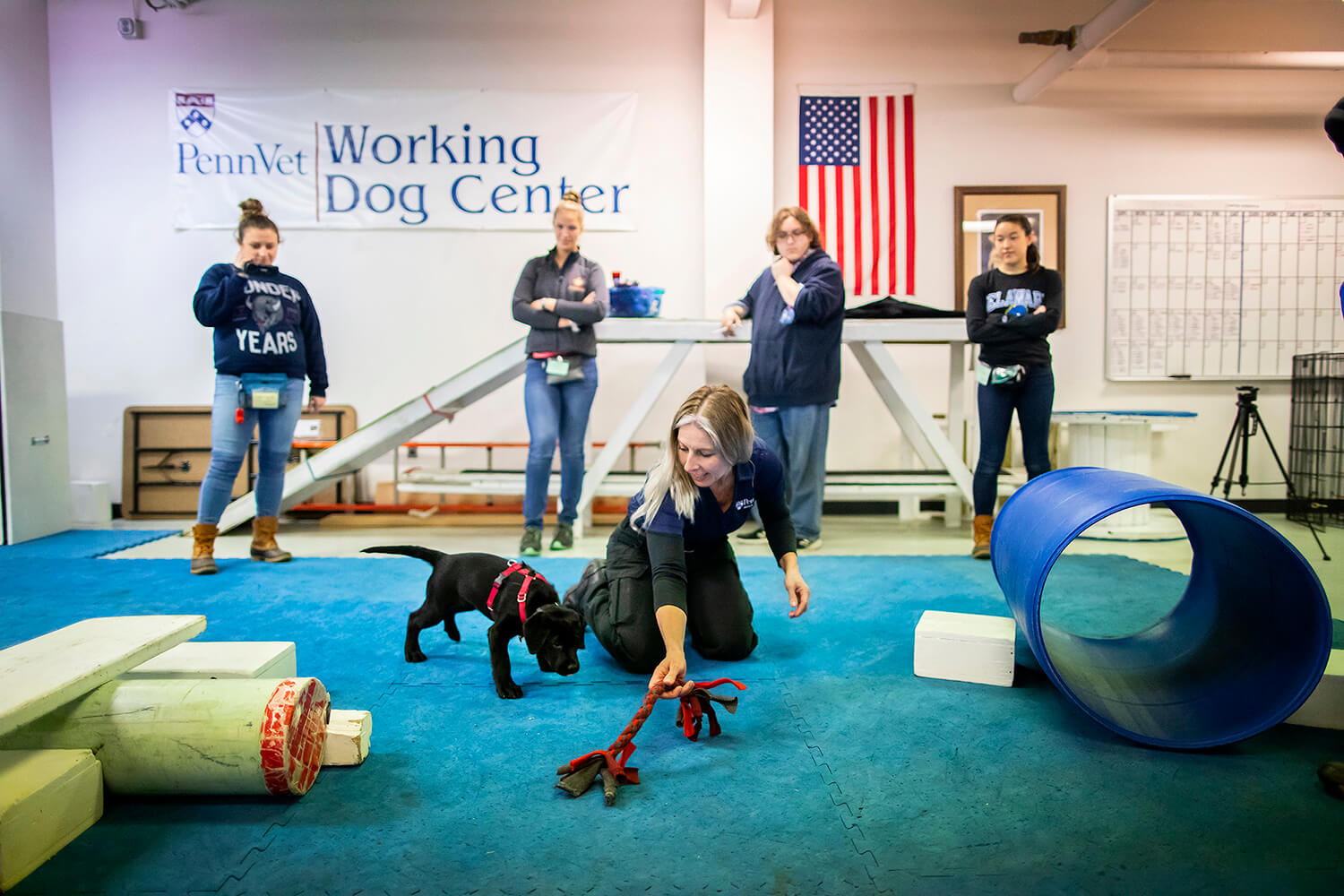 Urban, a three-month-old black Labrador retriever, trains with Danielle Berger at the Penn Vet Working Dog Center. Berger is leading the training for the U litter, composed of Urban and seven of her brothers and sisters, with assistance from interns including (left to right) Charlotte Kronick, Dominique Andrews, Trevor Vidas, and Tesa Stone.
