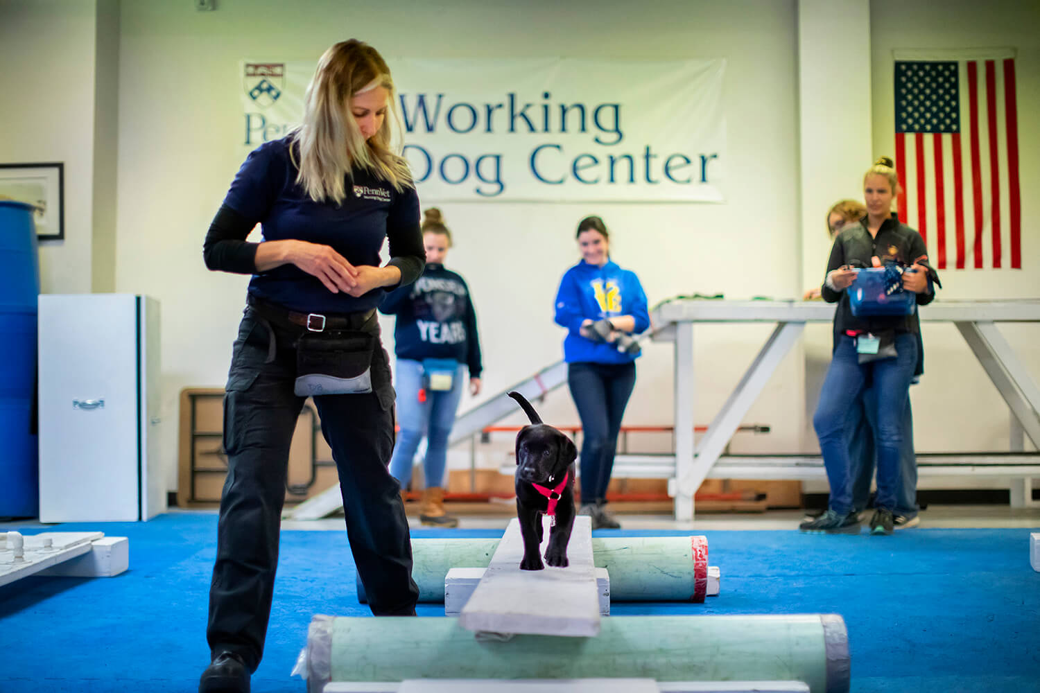Trainers erect various obstacles and challenges for the puppies to navigate, helping them improve their agility and also conquer any fears. “The genetics are shining through in these dogs,” says Berger, encouraging Uman to cross a narrow plank.