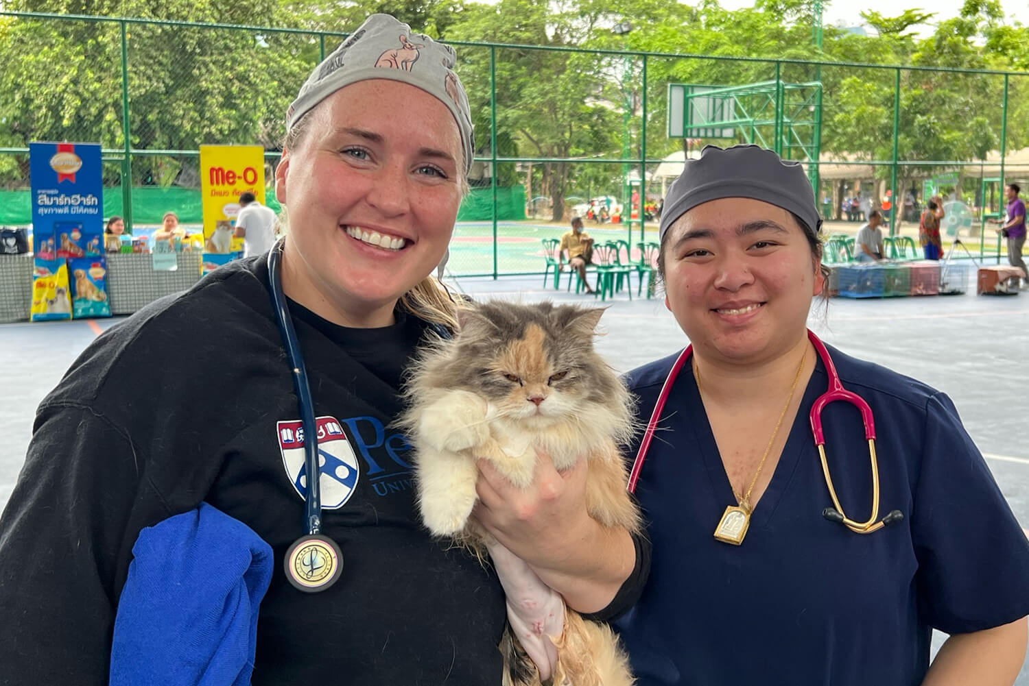 Amanda Patev and Fern Akkrawong recovering a a cat post surgery at the Bangkok clinic