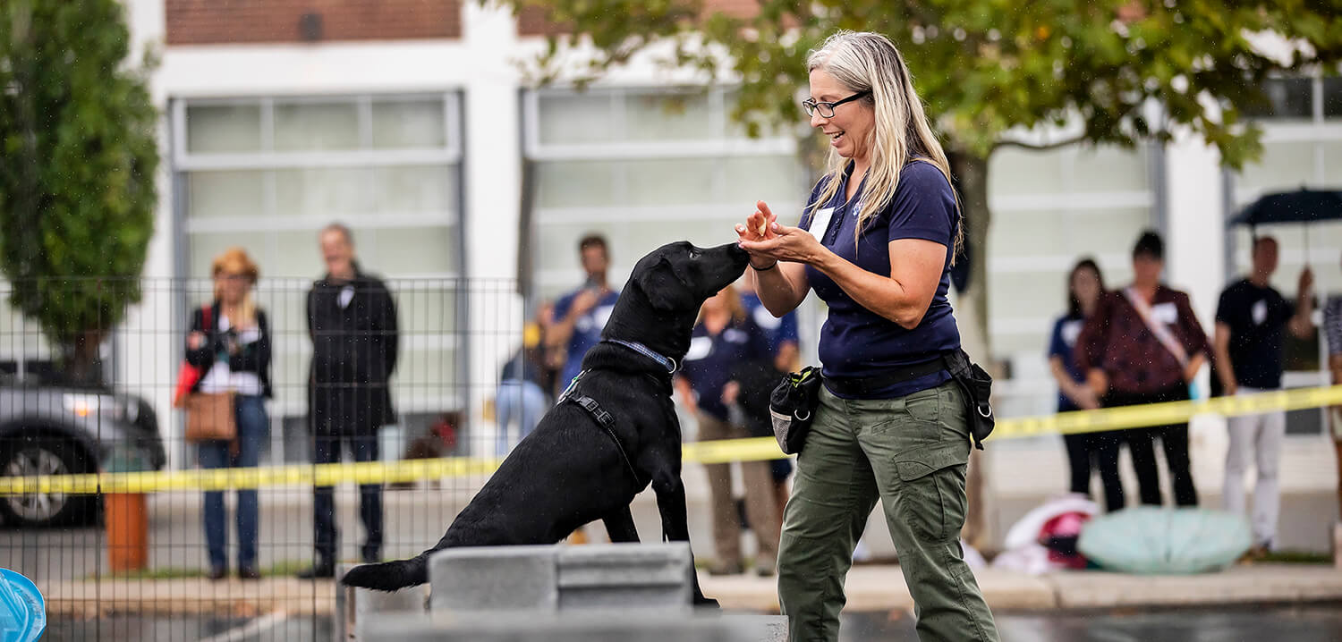 Trainer Danielle Berger works with Jessie, an 8-month-old black Labrador retriever in training at the Penn Vet Working Dog Center, demonstrating a series of exercises intended to improve agility and fitness. The Center celebrated its 10th anniversary on Sept. 11, and has graduated more than 130 dogs into lifesaving careers in search and rescue, law enforcement, and more.