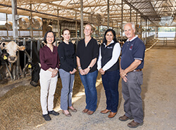 Center for Stewardship Agriculture and Food Security 