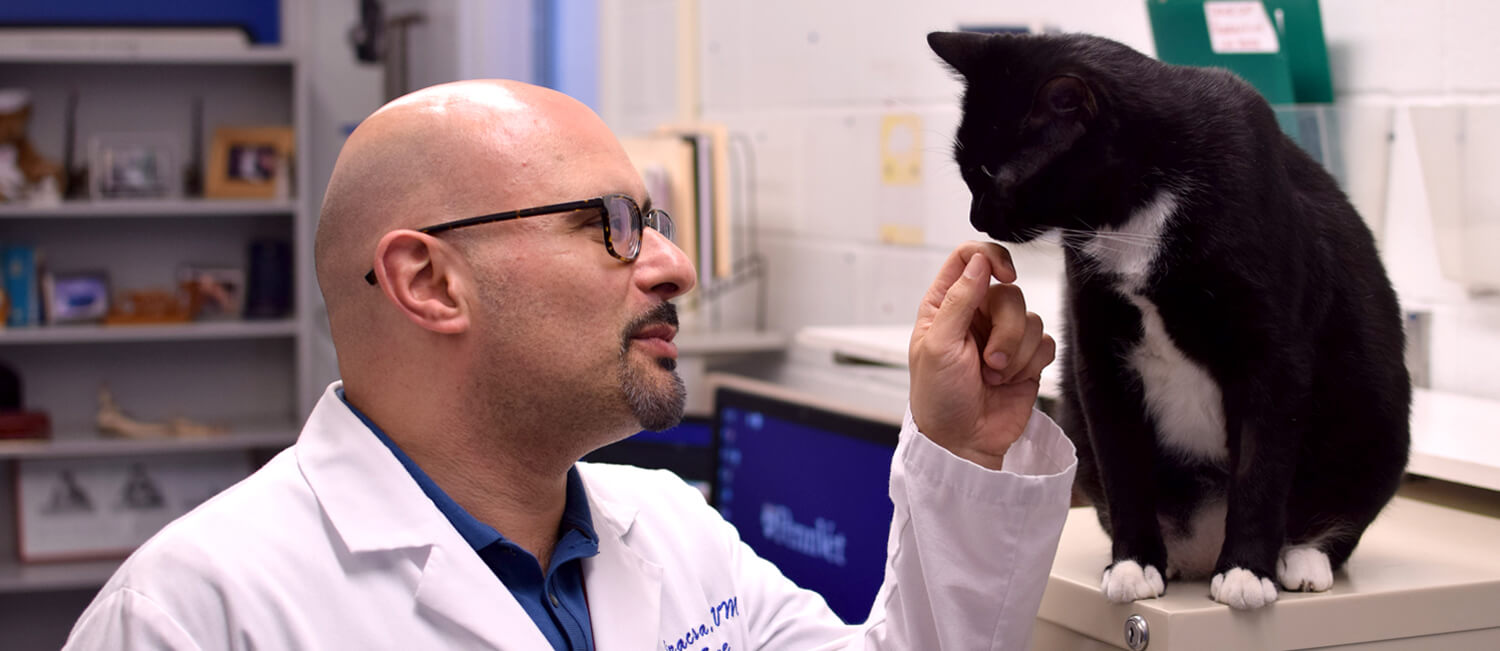 Dr Siracusa and Cat