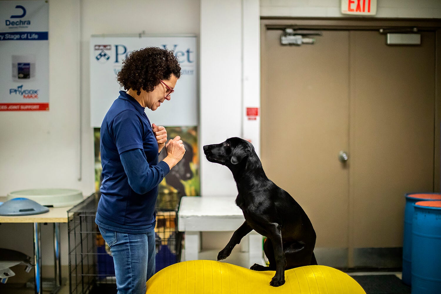 Cindy Otto, executive director of the WDC, works Casey, an older WDC dog, through training to improve strength, balance, and fitness. Otto drew inspiration to found the Center after caring for working dogs that responded to the 9-11 attacks. Each puppy that comes through the Center’s program is named for a 9-11 victim or working dog.