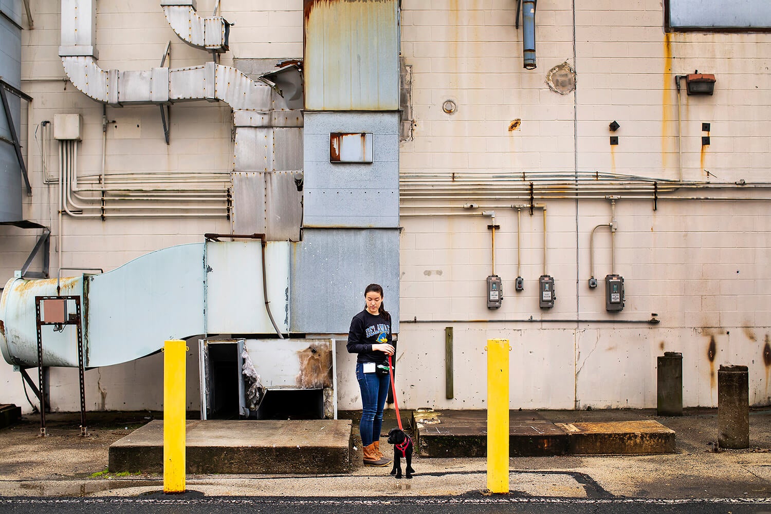 Located at Pennovation Works, across the Schuylkill River from Penn’s main campus, the WDC makes use of nearby buildings and open spaces to train the puppies and give them room to roam.
