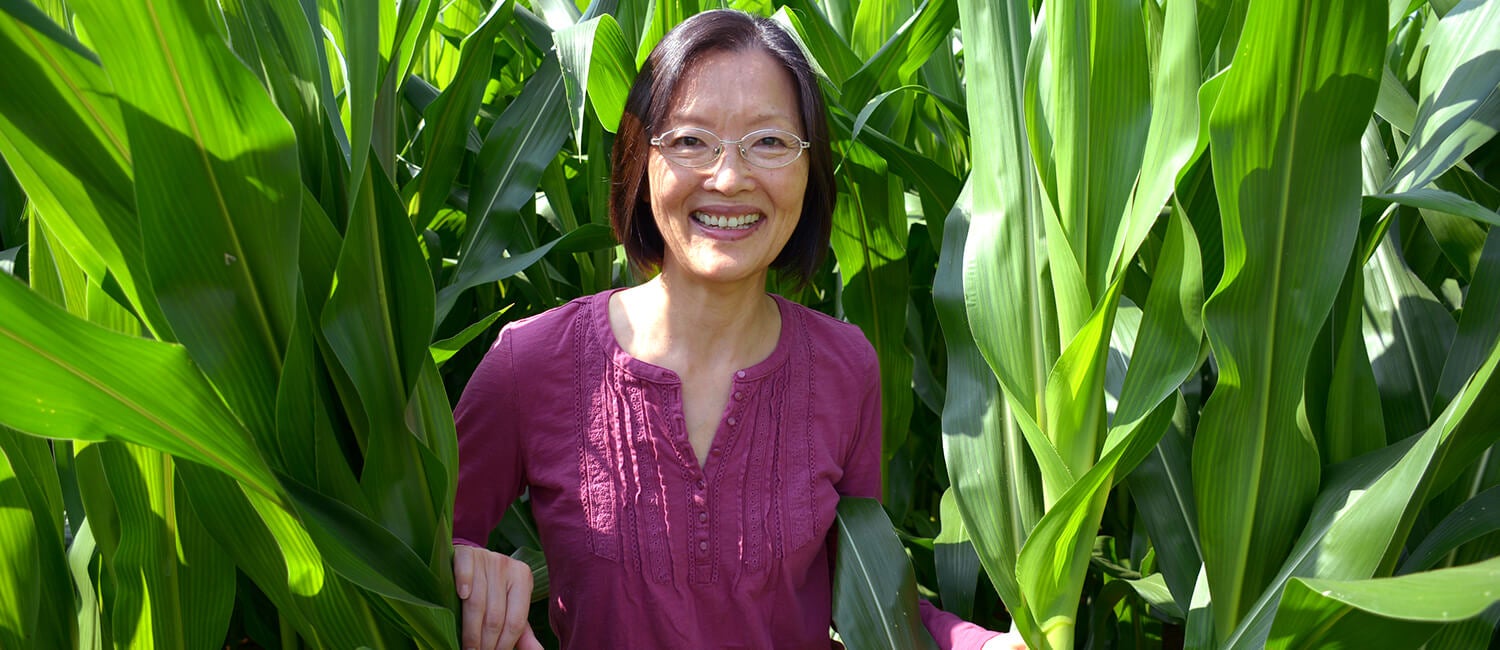 Dr. Zhengxia Dou, Professor of Agricultural Systems, sees the Dr. Zhengxia Dou, Professor of Agricultural Systems, sees the