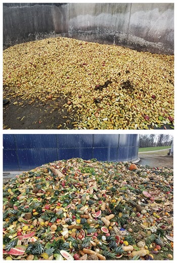 IUUB feedstuffs: Apple cores (top) from a processing facility and unsellable fruits, vegetables, and bread bread (bottom) from supermarkets are fed to cows on two Pennsylvania dairy farms (Photo credits: Dr. Joe Bender) IUUB feedstuffs: Apple cores (top) from a processing facility and unsellable fruits, vegetables, and bread bread (bottom) from supermarkets are fed to cows on two Pennsylvania dairy farms (Photo credits: Dr. Joe Bender)