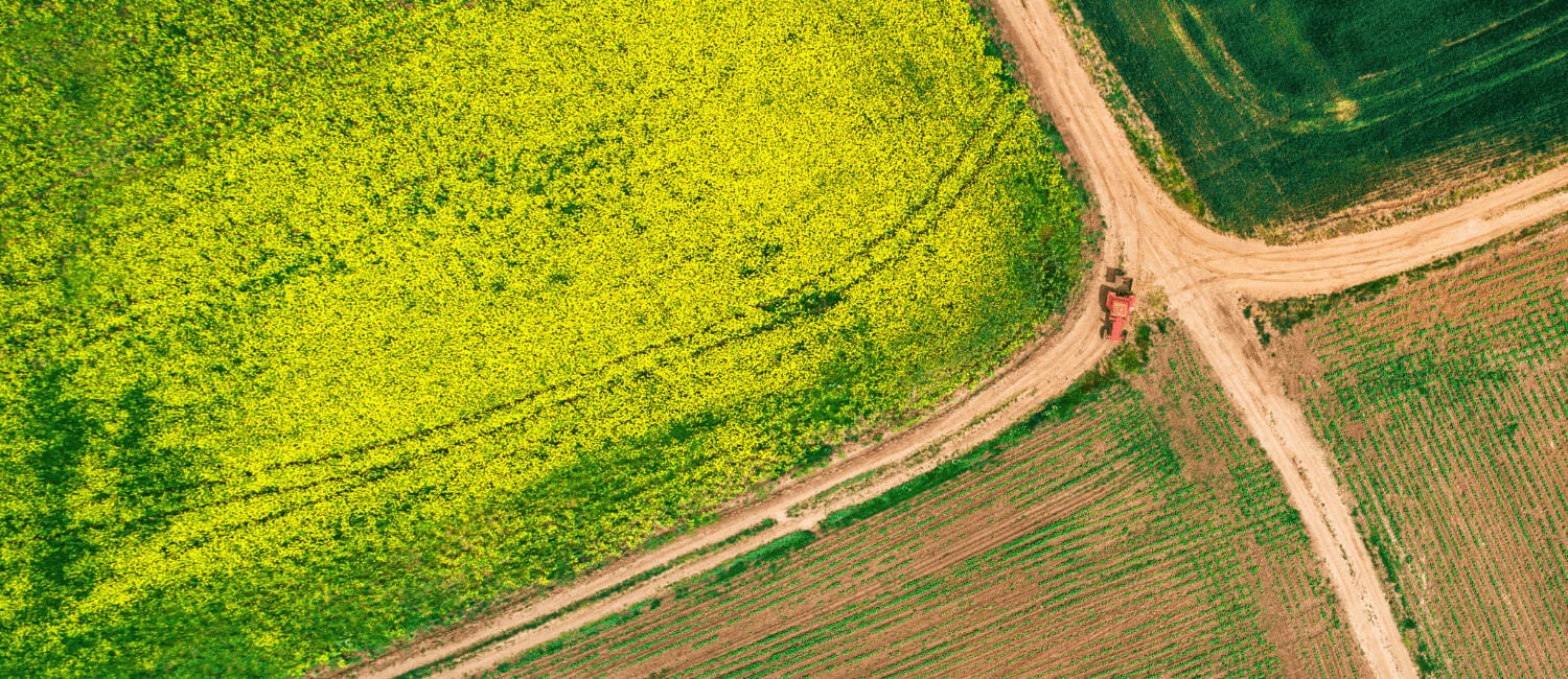 Aerial view of field