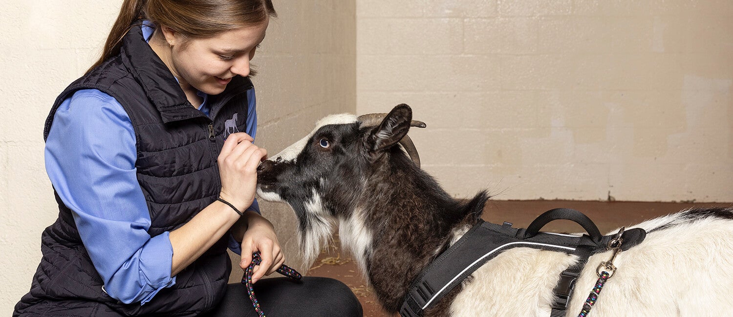 Milkshake and Dr. Laurence Leduc have become best of friends, bonding during the kid’s stay and subsequent visits. Milkshake and Dr. Laurence Leduc have become best of friends, bonding during the kid’s stay and subsequent visits.