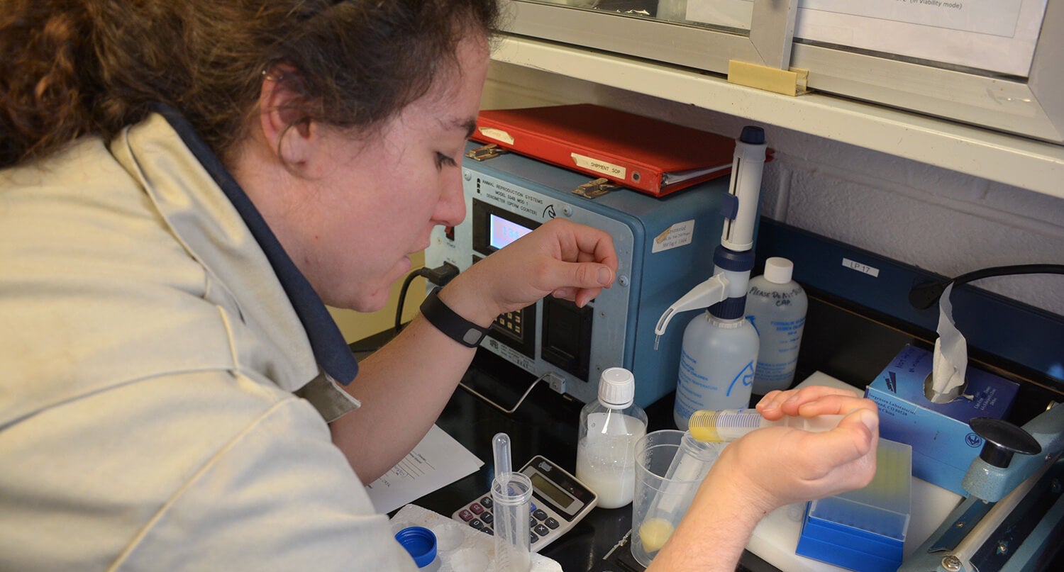 Dr. Morgan Agnew during her Penn Vet Residency in Large Animal Theriogenology. Dr. Morgan Agnew during her Penn Vet Residency in Large Animal Theriogenology.
