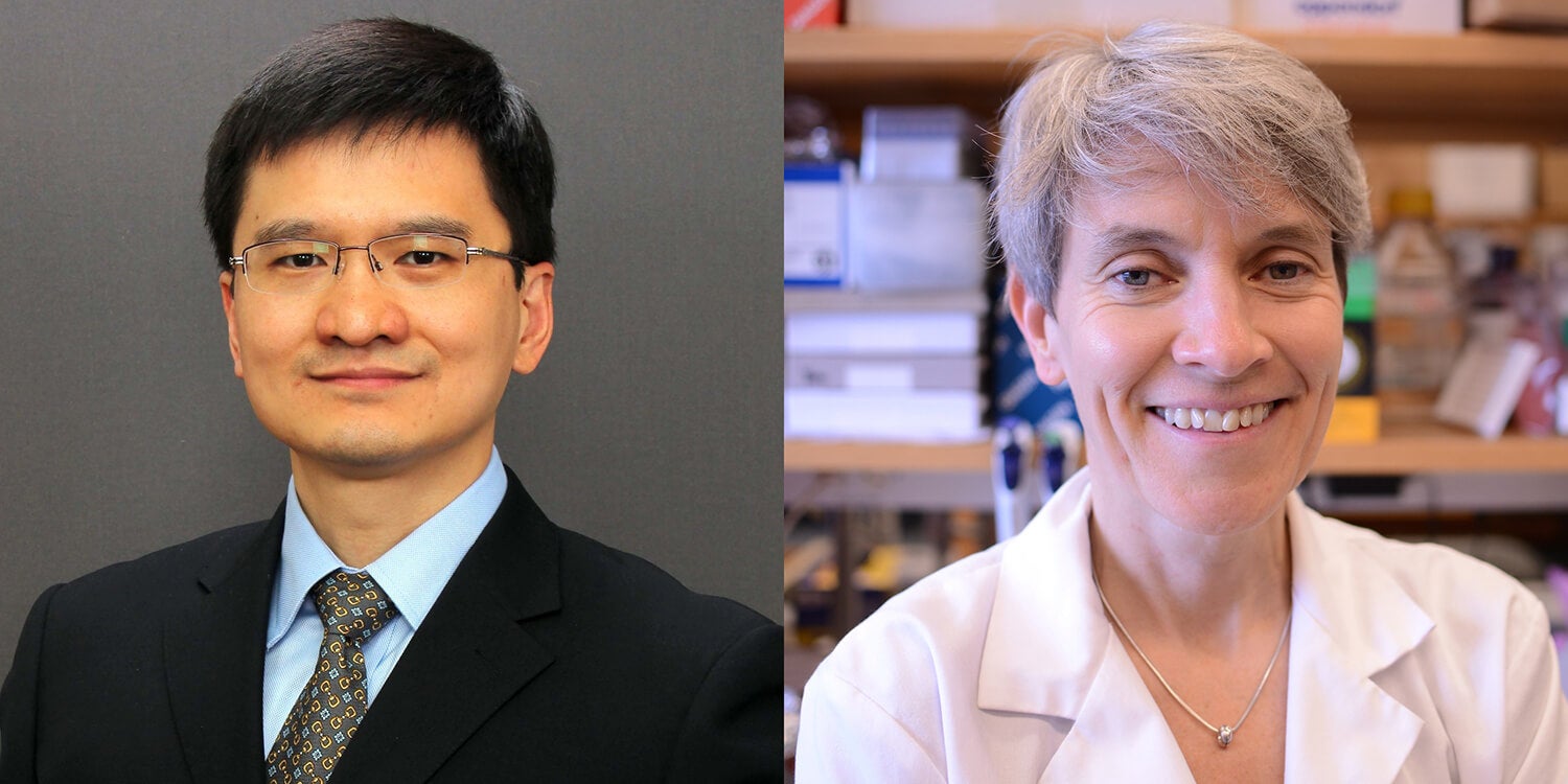 Qi Long of the Perelman School of Medicine and Nicola Mason of the School of Veterinary Medicine lead PRECINCT, a network of institutions working on clinical trials of immunotherapies for pet dogs with cancer. Pictures of Qi Long of the Perelman School of Medicine and Nicola Mason of the School of Veterinary Medicine