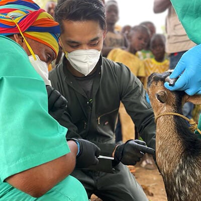 Dr. Marc Valitutto
