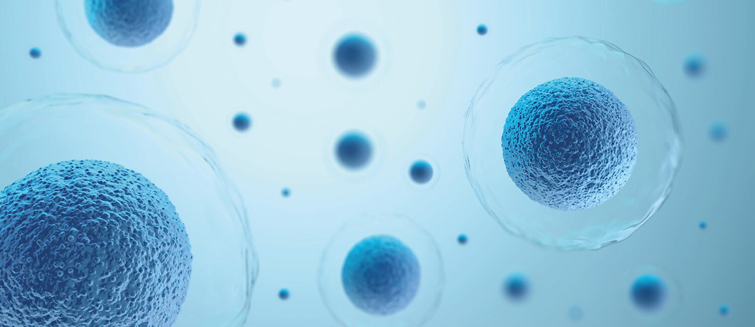 Graphic depiction of cells
