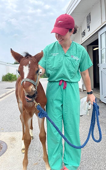 Wry Not prepares for her procedure with New Bolton Center surgery resident Caitlin Smith, DVM.
