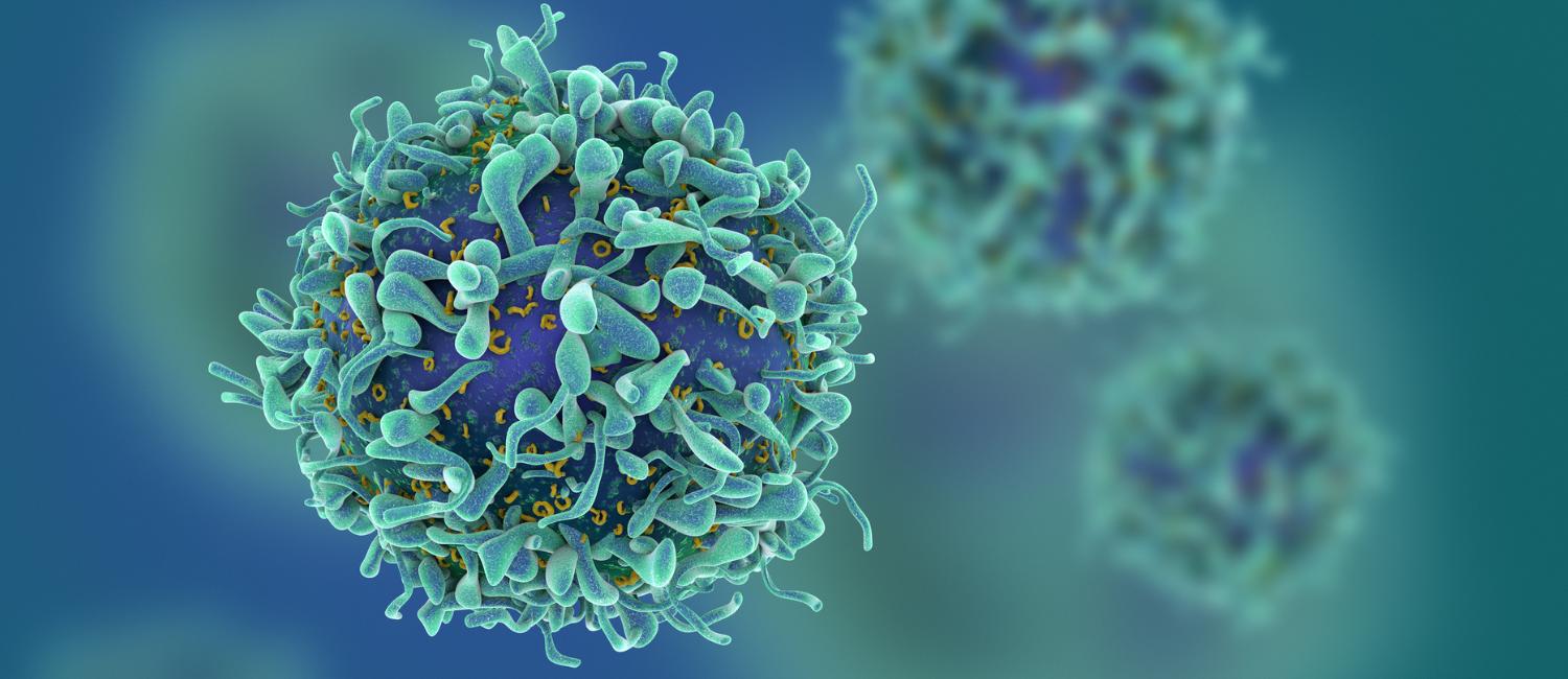 Rendering of T cells