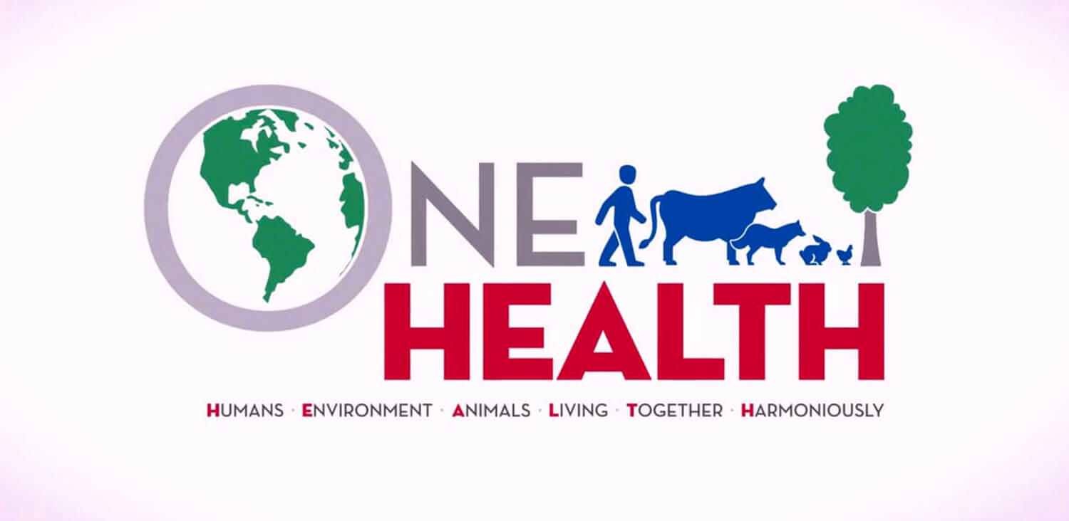 One Health studies focus on the intersection of the health of humans, animals and the environment.