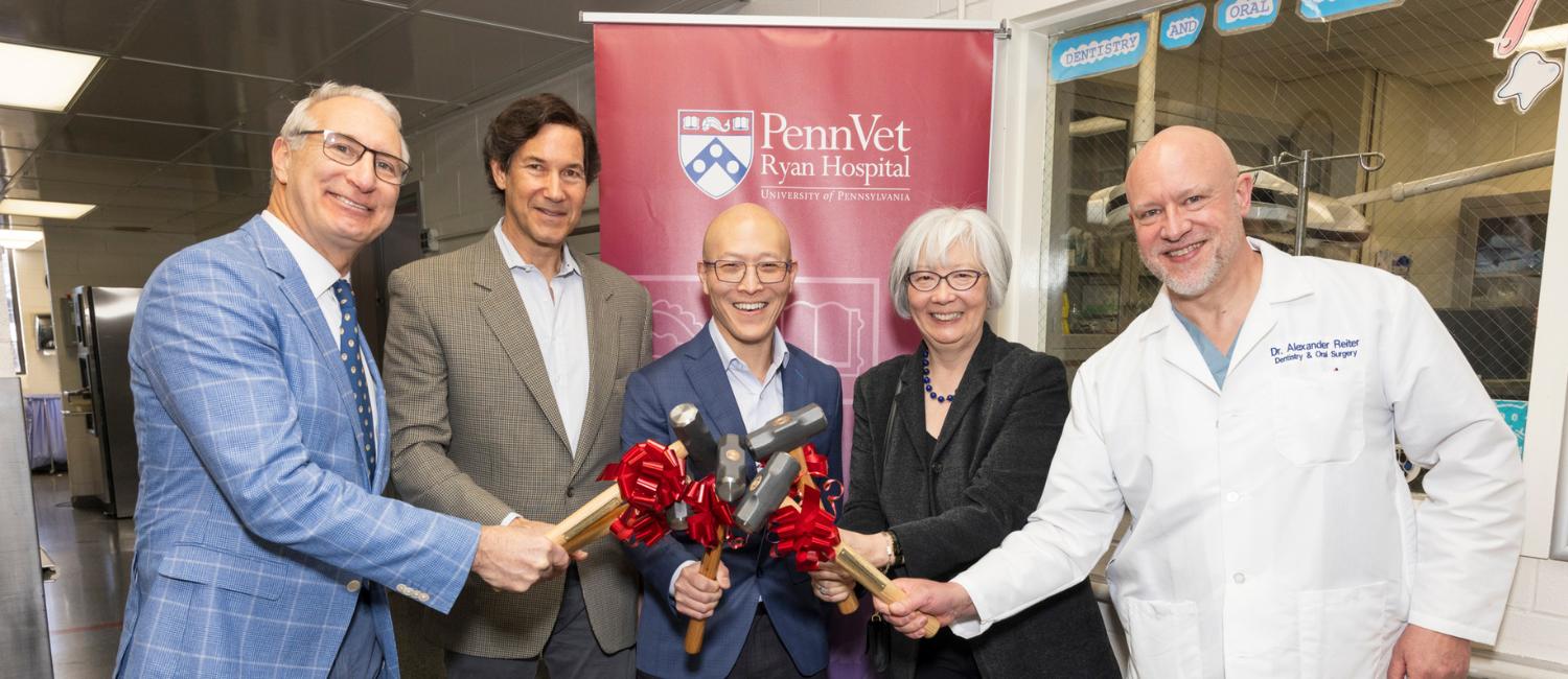 Penn Vet Kicks Off Construction of New $2.8 Million Richard Lichter Advanced Dentistry and Oral Surgery Suite