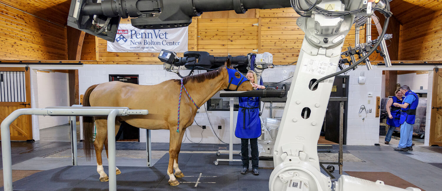 MARS Equestrian™ &amp; Penn Vet launch innovative educational research