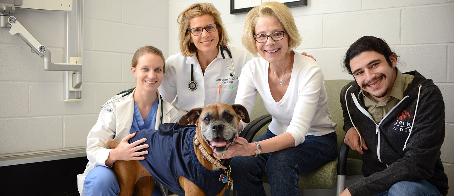 Performing the mapping of Sophie’s heart and the ablation procedure was a team effort, involving experts from both Penn Vet and the Perelman School of Medicine. 