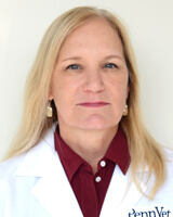 Dr. Elizabeth Mauldin, Penn Vet