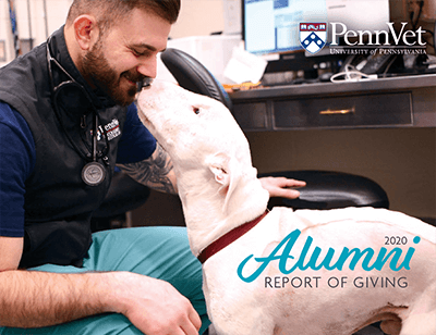 Billy, the pit bull- 2021 alumni donor report