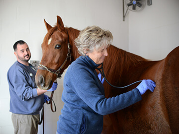 Dr. Janet Johnston, checking a patient