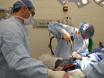 Dr, Kyla Ortved, New Bolton Surgeon