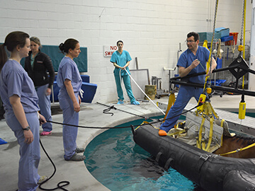 Drs. Kyla Ortved and David Levine, recovery pool