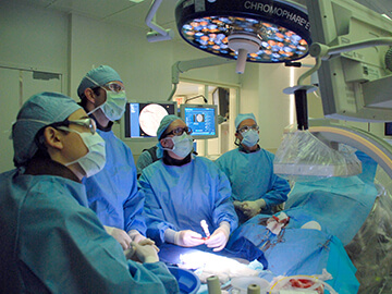 Penn Vet's Dr. Dana Clarke with surgical team