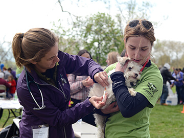 Shelter Medicine team members at a public event