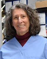Dr. Katrin Hinrichs, New Bolton Center