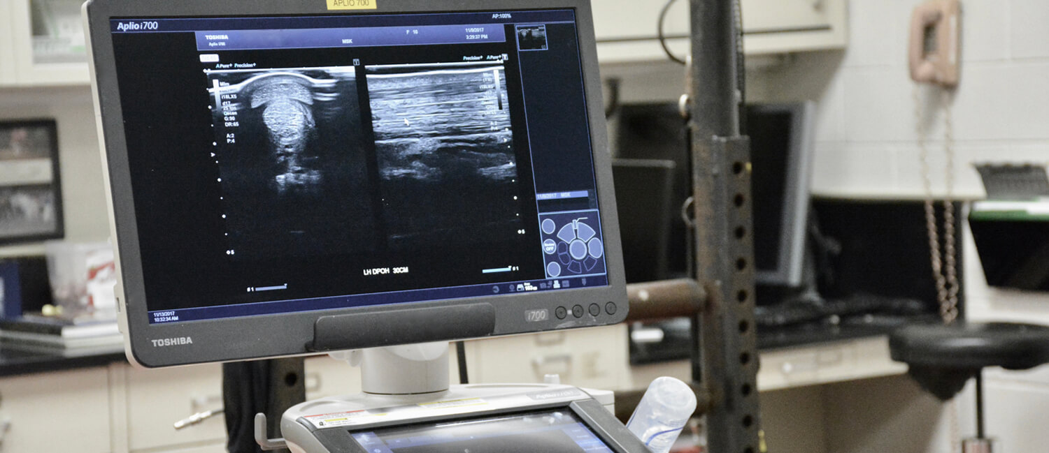 Aplio Ultrasound at New Bolton Center