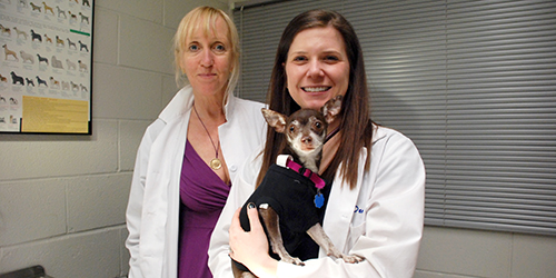 Dr. Karin Sorenmo (l) with Brownie, a shelter dog that was treated through the Shelter Canine Mammary Tumor Program