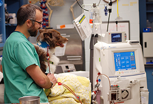 Dr. JD Foster with one of his patients during dialysis treatment.