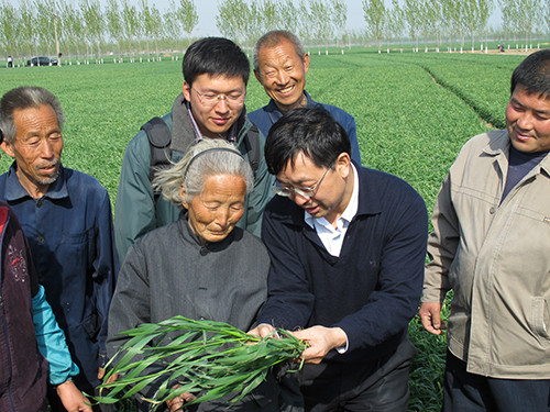 Study coauthor Fusuo Zhang talks with farmers about better water and nutrient management for their crops.