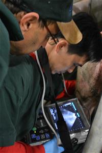 Merck Managers Training on Swine Ultrasound at Penn Vet