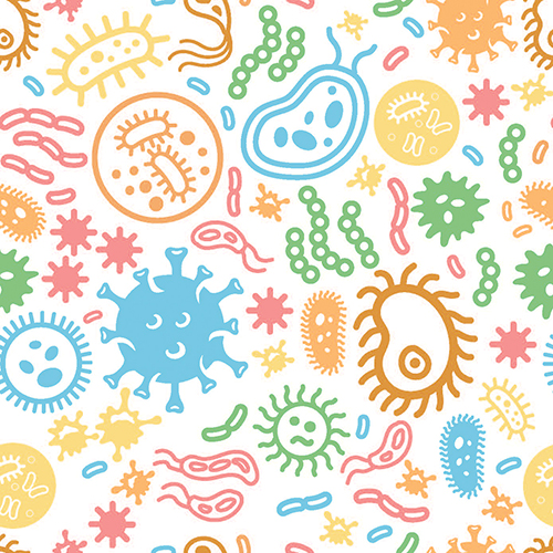 The microbiome is the array of bacteria, fungi, viruses, and other microorganisms living in or on a given individual or environment.