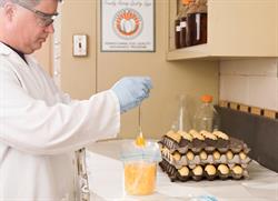 A PADLS technician prepares eggs for Salmonella testing.