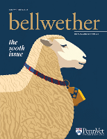 Bellwether magazine issue 100 cover