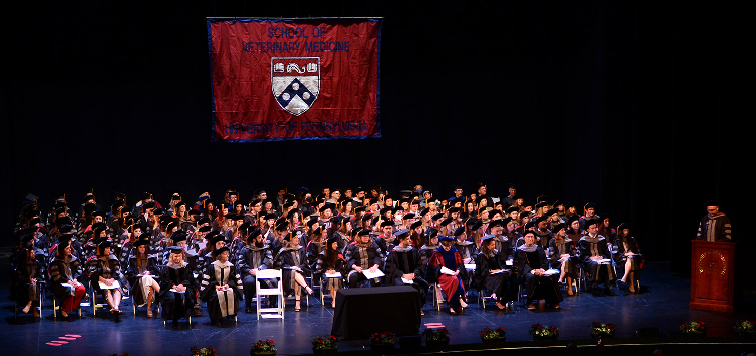 Photo of graduates sitting on stage