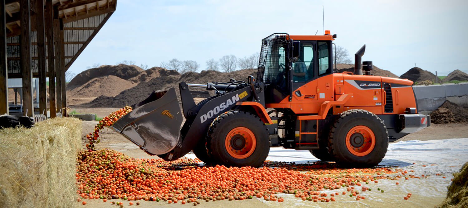 Front-end loader tractor scooping up oranges